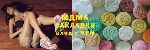 индика Волоколамск