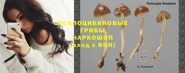 индика Волосово