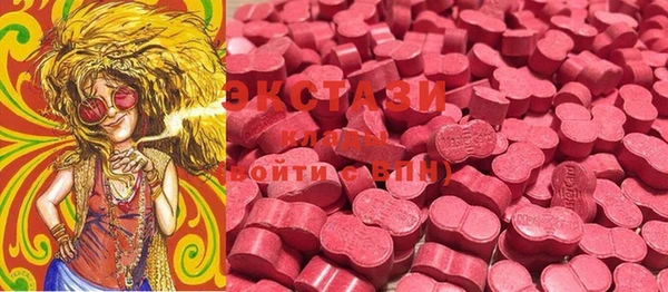 индика Волосово