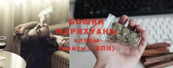 индика Волоколамск
