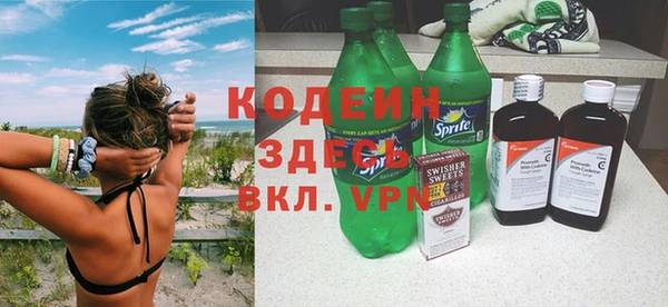 индика Волоколамск