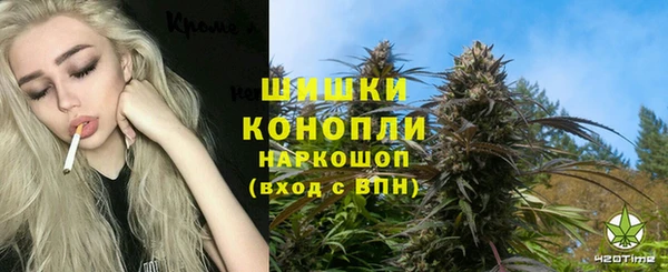 индика Волоколамск