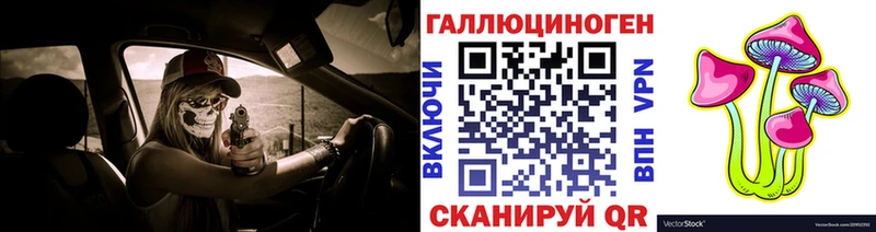 Галлюциногенные грибы Psilocybe  площадка как зайти  Хилок 