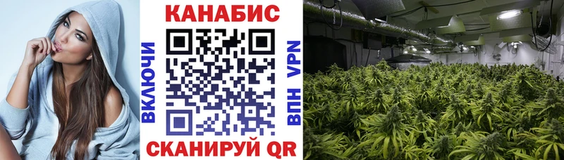 ссылка на мегу ССЫЛКА  Хилок  МАРИХУАНА индика 